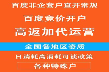 信息流广告成功案例分析